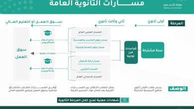 مستويات السلوك والحضور في نظام المسارات