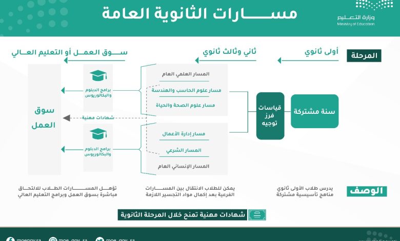 مستويات السلوك والحضور في نظام المسارات