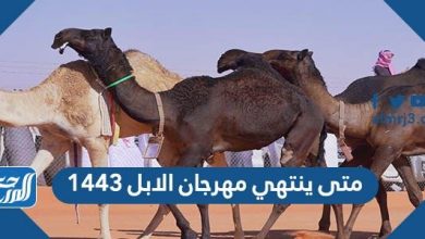 متى ينتهي مهرجان الابل 1443