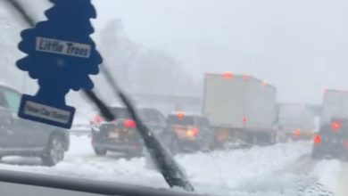 Springfield family shares experience of being stranded on I-95 in Virginia for hours