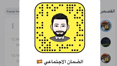 سناب الضمان الإجتماعي