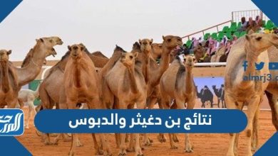 نتائج بن دغيثر والدبوس