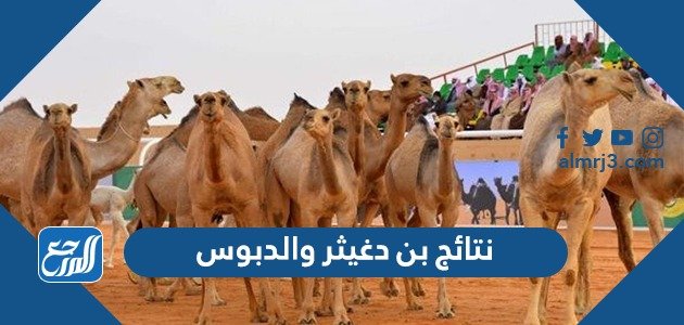 نتائج بن دغيثر والدبوس