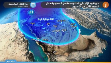 موجة برد وصقيع وسقوط حبات البرد .. خبير طقس يتوقع تقلبات جوية يوم الأربعاء